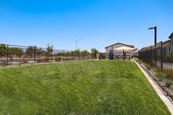 Dog park